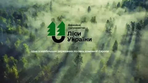ГП "Леса Украины" объявило очередной сомнительный тендер почти на 240 млн грн, - политолог