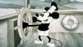 Mickey Mouse's birthday: story of iconic image