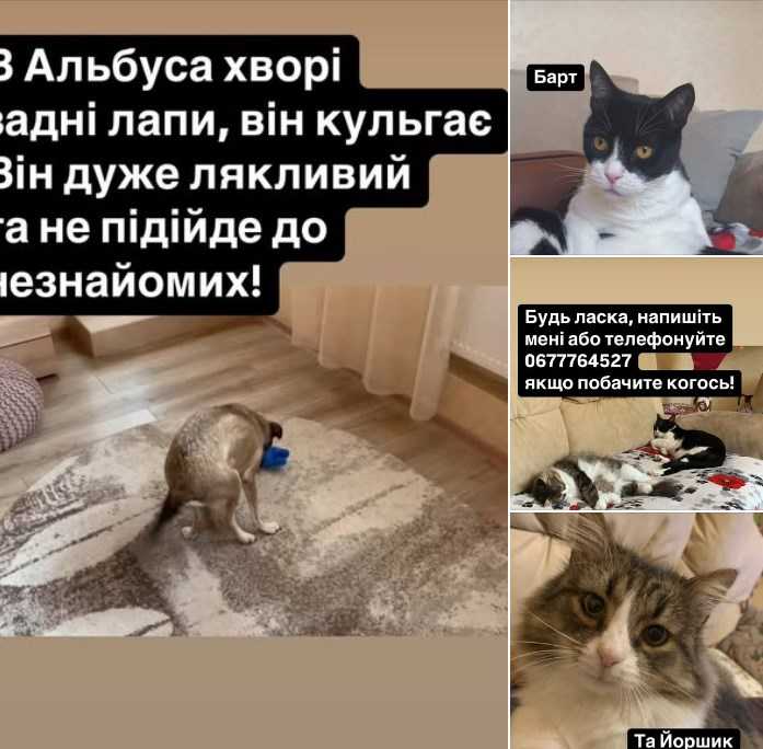 Загублені тварини. Фото: facebook/odesazoo