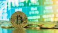 Bitcoin price hits all-time high