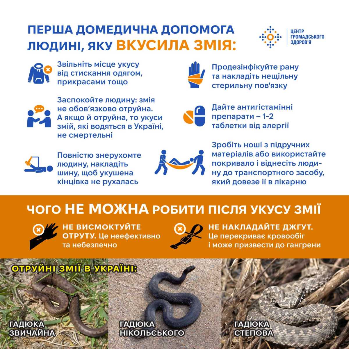 З настанням тепла в Україні зросла активність змій. Інфографіка: ЦГЗ
