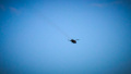 The Storm Shadow/SCALP EG cruise missile in the air. Illustrative photo: Air Forces of the Armed Forces of Ukraine.