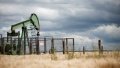 Oil. Photo: Reuters