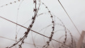 At least 206 Ukrainian soldiers killed in russian captivity - Associated Press