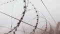 At least 206 Ukrainian soldiers killed in russian captivity - Associated Press