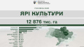 Farmers almost finish sowing: 97% of spring grain and legume crops already sown from projected areas