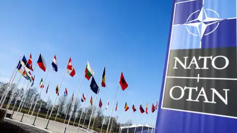 НАТО будет поддерживать Украину. Фото: nato