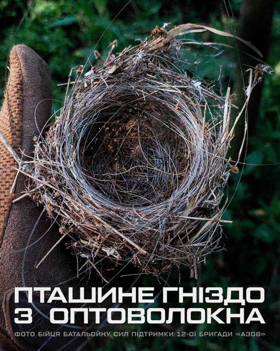 Пташине гніздо з оптоволоконного кабелю. Фото: me/azov_brigade_ngu.