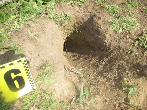 Фото: Поліція Сумської області
