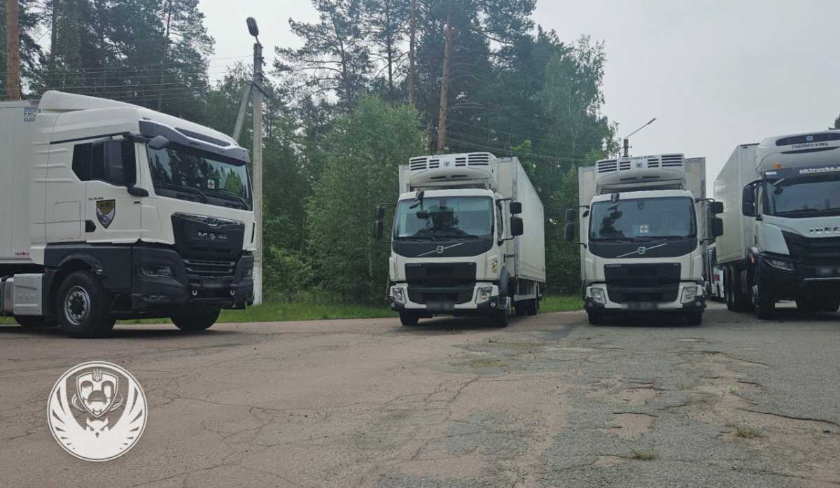 Exchange of bodies on June 11. Photo: Coordination Headquarters for the Treatment of Prisoners of War
