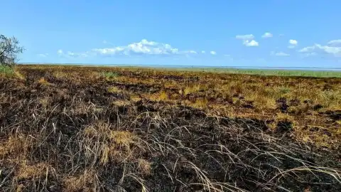 Выгорела земля в заповеднике. Фото: Национальный природный парк "Тузловские лиманы"