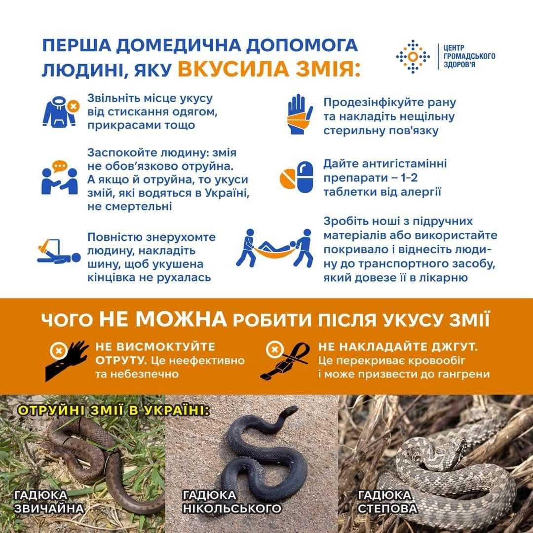 Домедична допомога. Фото: ЦГЗ