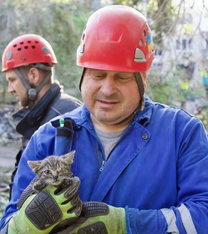 Врятоване кошеня. Фото: ДСНС