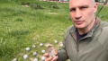 Balls – parts of russian cluster munitions found in Kyiv’s Nyvky district