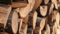 Rada Supports Poroshenko's Proposals To Introduce Criminal Responsibility For Smuggling Of Timber