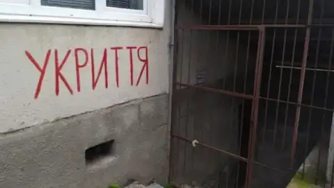 Назначенные президентом руководители столичных районов строят убежища в Карпатах и ​​закупают маты по тройной цене, – Емец