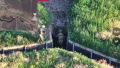 Russian sabotage and reconnaissance group entered Dachne in Dnipropetrovsk Region, took photo with