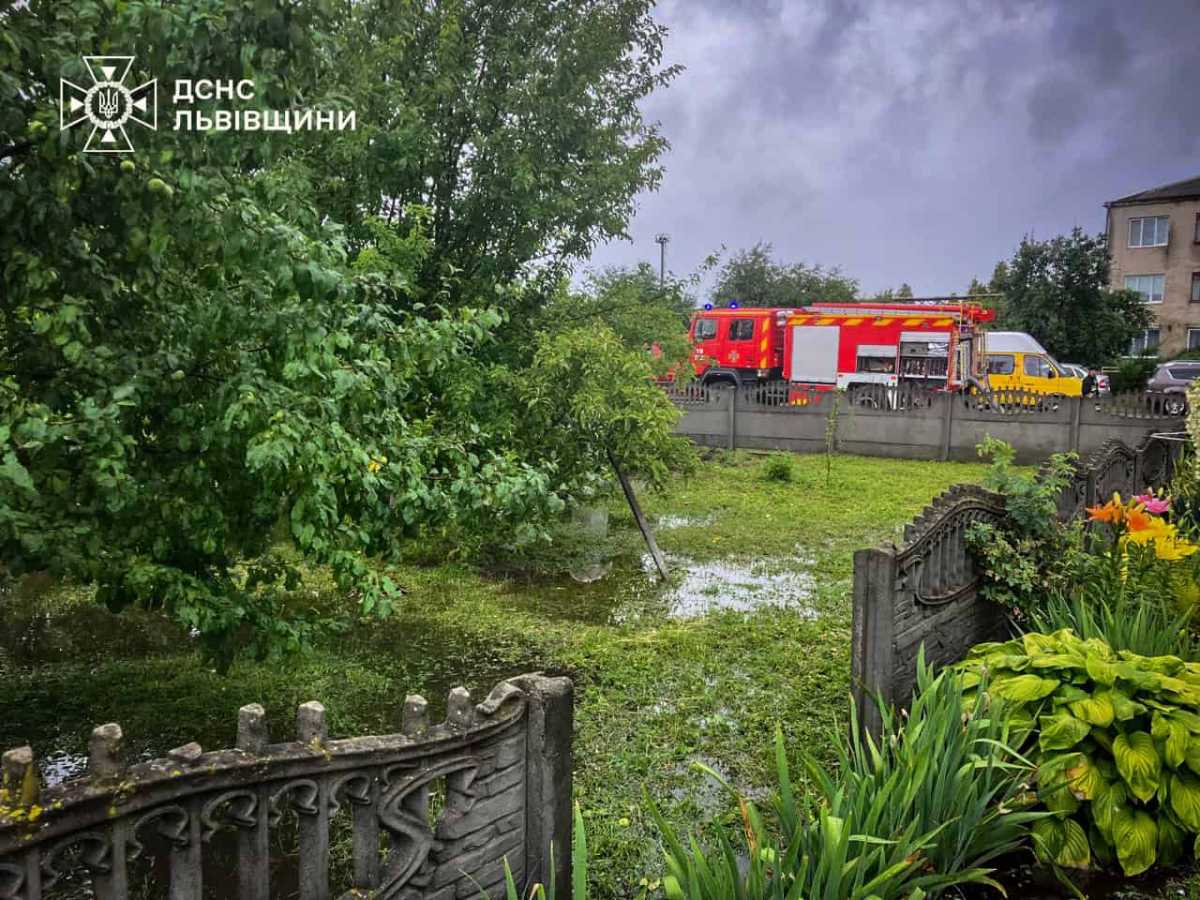 Фото: ДСНС Львівщини