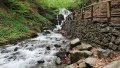 Participants of festival in Transcarpathia fall ill with intestinal infection due to water from Shypit
