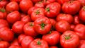 Tomato prices in Ukraine continue to rise