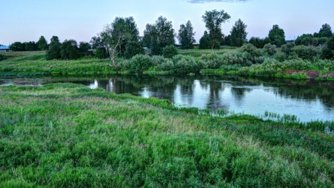 Літо. Фото: pixabay