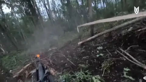 Скрин видео
