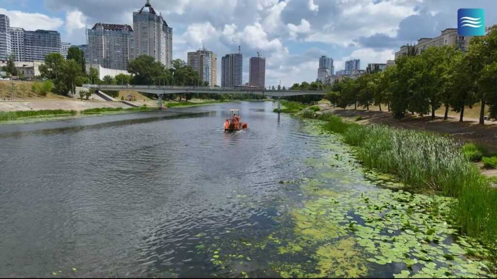 Покіс водоростей. Фото: Плесо