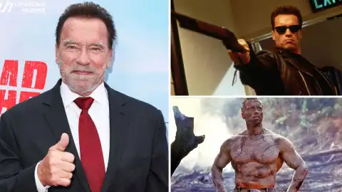 Арнольд Шварценеггер. Колаж: УН