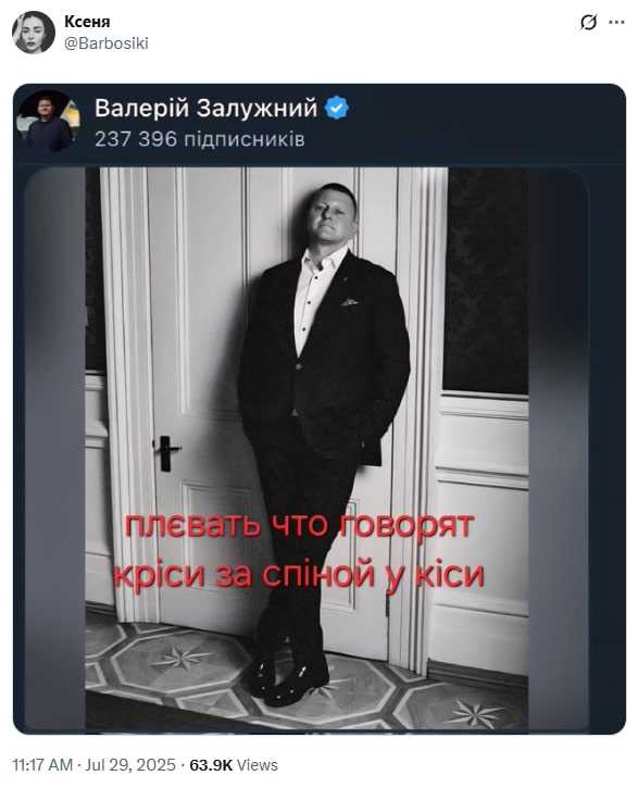 Жарт про фото Залужного. Скриншот