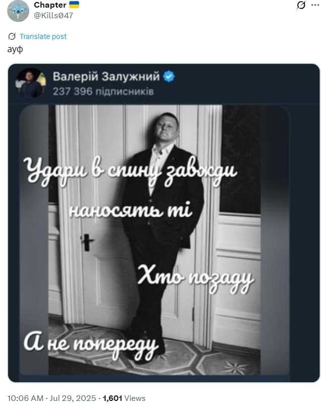 Жарт про фото Залужного. Скриншот