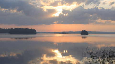 Літо. Фото: pixabay