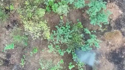 Поражение оккупантов на Покровском направлении. Фото: скриншот видео.