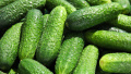 Cucumbers. Photo: depositphotos
