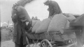 Today is anniversary of "Law on Five Ears of Grain": how Stalin's law helped to cause Holodomor in Ukraine