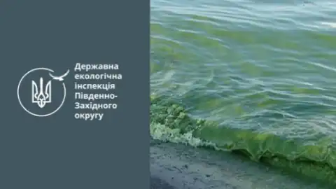 Цветение моря. Фото: Государственная экологическая инспекция Юго-Западного округа