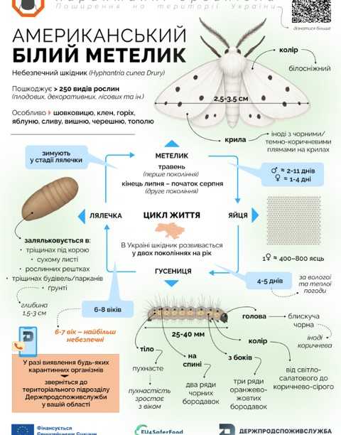 Фото: Держпродспоживслужба