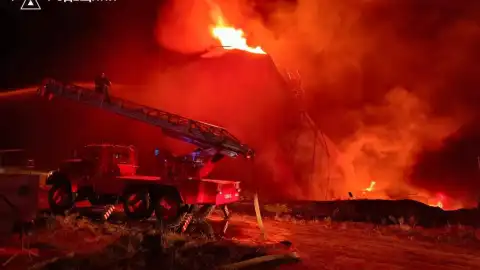 Пожар в Одесской области Фото: ГСЧС