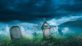 Nearly 10,000 people died in Germany due to antibiotic misuse