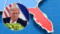 Trump was struck by comparison of russia's demand to hand over Donetsk Region with US giving up part of