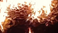 In Kherson Region, russian military burn their equipment to disrupt going to positions - ATESH