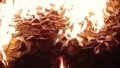 In Kherson Region, russian military burn their equipment to disrupt going to positions - ATESH