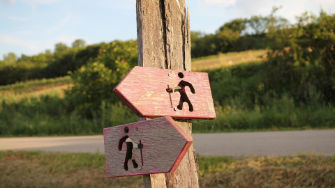 Літо. Фото: pixabay