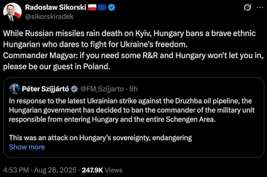 Пост Сікорського в X (Twitter). Фото: скріншот.