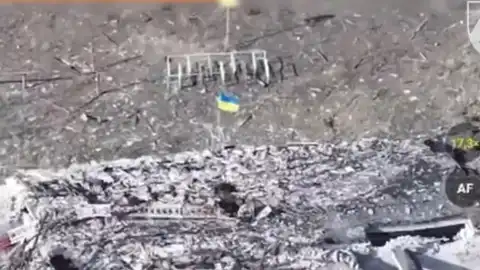 Украинский флаг в поселке Новоэкономичное. Скриншот видео