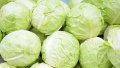 Cabbage. Photo: EastFruit