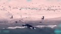 Ukrainian Navy destroys russian speedboat with occupiers heading to Tendra Spit