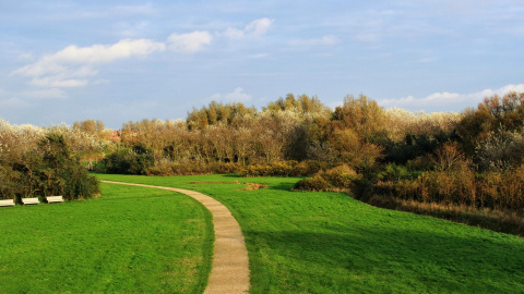 Осінь. Фото: pixabay