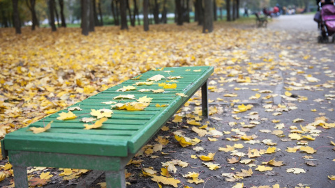 Осінь. Фото: pixabay