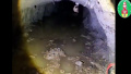Polish border guards discover underground passage on Belarusian border, expel 4 illegal immigrants