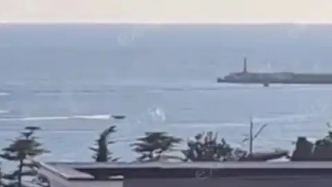 Фото: скриншот видео.